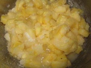 Pineapple Jam (Ananasache Pank)
